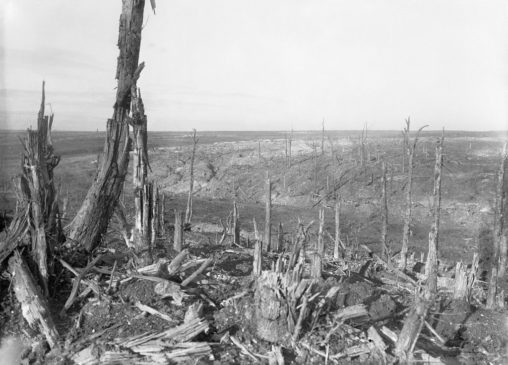 1600px-Beaumont-Hamel_-_General_view_of_the_battlefield